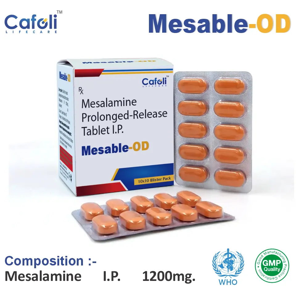 Mesalamine 1200mg Tablet | Anti-inflammatory | Best Price for PCD Pharma Franchise